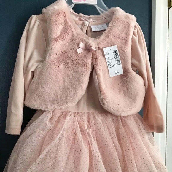 The Children's Place Other - The Children's Place 9-12 Month Rose Dust Dress